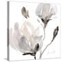 Tonal Magnolias I-Lanie Loreth-Stretched Canvas