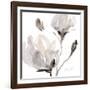 Tonal Magnolias I-Lanie Loreth-Framed Giclee Print