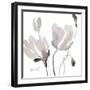 Tonal Magnolias II-Lanie Loreth-Framed Art Print