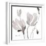 Tonal Magnolias II-Lanie Loreth-Framed Art Print