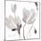 Tonal Magnolias II-Lanie Loreth-Mounted Art Print