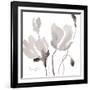 Tonal Magnolias II-Lanie Loreth-Framed Art Print