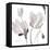 Tonal Magnolias II-Lanie Loreth-Framed Stretched Canvas