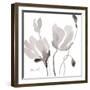 Tonal Magnolias II-Lanie Loreth-Framed Premium Giclee Print