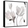 Tonal Magnolias II-Lanie Loreth-Framed Stretched Canvas