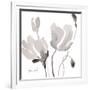 Tonal Magnolias II-Lanie Loreth-Framed Art Print