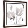 Tonal Magnolias II-Lanie Loreth-Framed Art Print