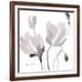 Tonal Magnolias II-Lanie Loreth-Framed Art Print