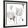 Tonal Magnolias II-Lanie Loreth-Framed Art Print