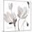Tonal Magnolias II-Lanie Loreth-Mounted Art Print