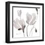 Tonal Magnolias II-Lanie Loreth-Framed Art Print