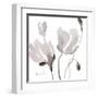 Tonal Magnolias II-Lanie Loreth-Framed Art Print