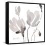 Tonal Magnolias II-Lanie Loreth-Framed Stretched Canvas