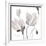 Tonal Magnolias II-Lanie Loreth-Framed Giclee Print