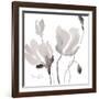 Tonal Magnolias II-Lanie Loreth-Framed Giclee Print