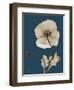 Tonal Poppy on Navy-Albert Koetsier-Framed Art Print