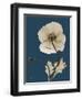 Tonal Poppy on Navy-Albert Koetsier-Framed Art Print