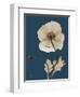 Tonal Poppy on Navy-Albert Koetsier-Framed Art Print
