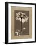 Tonal Rose Mat 2-Albert Koetsier-Framed Art Print