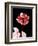 Tonal Rose on Black 2-Albert Koetsier-Framed Art Print