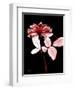 Tonal Rose on Black-Albert Koetsier-Framed Art Print