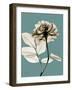 Tonal Rose on Blue-Albert Koetsier-Framed Art Print