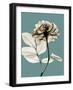 Tonal Rose on Blue-Albert Koetsier-Framed Art Print