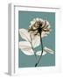 Tonal Rose on Blue-Albert Koetsier-Framed Art Print