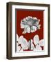 Tonal Rose on Crimson 2-Albert Koetsier-Framed Art Print