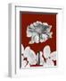 Tonal Rose on Crimson 2-Albert Koetsier-Framed Art Print