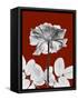 Tonal Rose on Crimson 2-Albert Koetsier-Framed Stretched Canvas