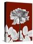 Tonal Rose on Crimson 2-Albert Koetsier-Stretched Canvas