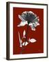 Tonal Rose on Crimson-Albert Koetsier-Framed Art Print