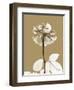 Tonal Rose-Albert Koetsier-Framed Art Print