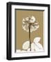 Tonal Rose-Albert Koetsier-Framed Art Print