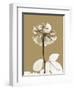 Tonal Rose-Albert Koetsier-Framed Art Print