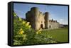 Tonbridge Castle with Daffodils, Tonbridge, Kent, England, United Kingdom, Europe-Stuart Black-Framed Stretched Canvas