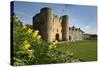 Tonbridge Castle with Daffodils, Tonbridge, Kent, England, United Kingdom, Europe-Stuart Black-Stretched Canvas