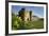 Tonbridge Castle with Daffodils, Tonbridge, Kent, England, United Kingdom, Europe-Stuart Black-Framed Photographic Print