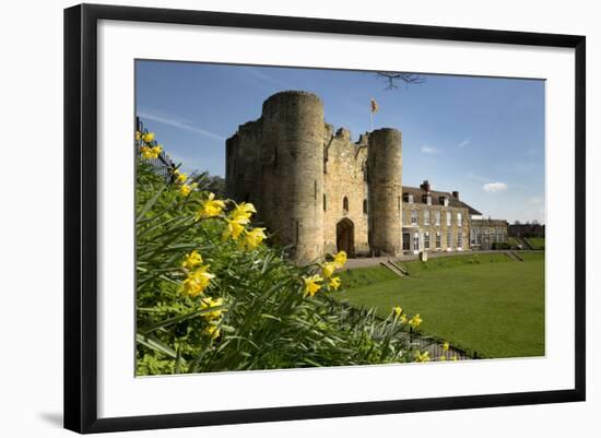 Tonbridge Castle with Daffodils, Tonbridge, Kent, England, United Kingdom, Europe-Stuart Black-Framed Photographic Print