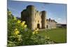 Tonbridge Castle with Daffodils, Tonbridge, Kent, England, United Kingdom, Europe-Stuart Black-Mounted Photographic Print