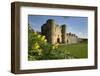 Tonbridge Castle with Daffodils, Tonbridge, Kent, England, United Kingdom, Europe-Stuart Black-Framed Photographic Print