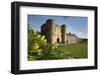 Tonbridge Castle with Daffodils, Tonbridge, Kent, England, United Kingdom, Europe-Stuart Black-Framed Photographic Print