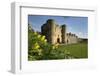 Tonbridge Castle with Daffodils, Tonbridge, Kent, England, United Kingdom, Europe-Stuart Black-Framed Photographic Print