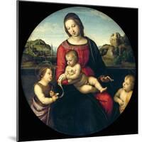 Tondo of the Virgin and Child with John the Baptist and a Holy Boy (The Madonna Terrranuova)-Raphael-Mounted Giclee Print