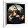 Tondo of the Virgin and Child with John the Baptist and a Holy Boy (The Madonna Terrranuova)-Raphael-Framed Giclee Print