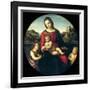 Tondo of the Virgin and Child with John the Baptist and a Holy Boy (The Madonna Terrranuova)-Raphael-Framed Giclee Print