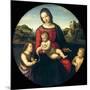 Tondo of the Virgin and Child with John the Baptist and a Holy Boy (The Madonna Terrranuova)-Raphael-Mounted Giclee Print