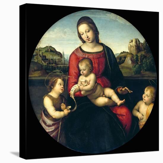 Tondo of the Virgin and Child with John the Baptist and a Holy Boy (The Madonna Terrranuova)-Raphael-Stretched Canvas