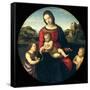 Tondo of the Virgin and Child with John the Baptist and a Holy Boy (The Madonna Terrranuova)-Raphael-Framed Stretched Canvas